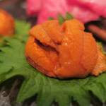 焼肉うしごろ - 刺身　ズームアップ