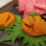 焼肉うしごろ - 刺身　ズームアップ