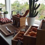 地中海料理「オーシャン ダイニング」 ヒルトン東京お台場 - パン