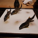 御料理 光安 - 鮎