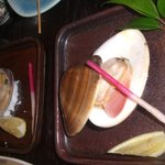 てれすこ - はまぐりと巨大あさり