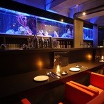 Aquarium Lounge＆Bar Cluz