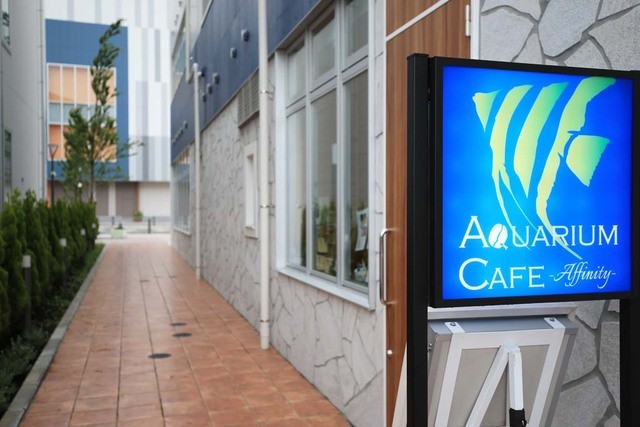 写真 アクアリウム カフェ アフィニティ Aquarium Cafe Affinity 海老名 ダイニングバー 食べログ