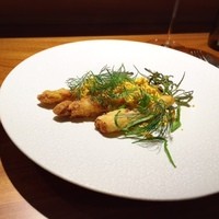 TACUBO - 
