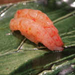 鮨 山浦 - 28年5月　北海縞海老