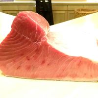 鮨 しゅん輔 阿佐ヶ谷 - 