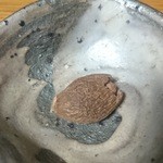 祇園迦陵 - 漠大海（ばくだいかい）木の実