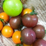 Bistro terroir - トマトは熊本産・広島産などもっとも旬で高糖度のものを農家より直送して使用。