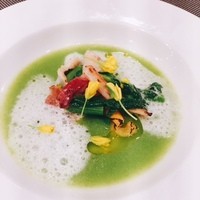 オッジ ダルマット 西麻布店 - （2016.04）