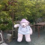 和藍さんぽ道 - 外にいるクマちゃん