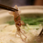 海の日  - ホタルイカ