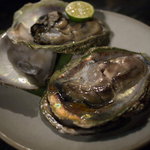 粥茶屋 写楽 - 岩ガキ