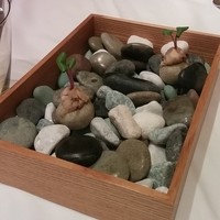 ルカンケ - 