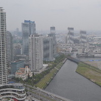 横浜 星のなる木 - 