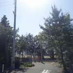 讃岐うどん がもう - 松の木が茂る木立の側を通過。