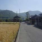 讃岐うどん がもう - まだまだ麦秋感全開な風景が広がっていますが