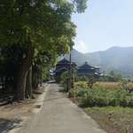 讃岐うどん がもう - 松の木が茂る木立を抜けると、あたりの雰囲気は一変し