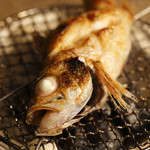 Salt-grilled Nodoguro