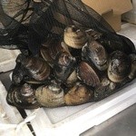 貝増商店 - 貝増さんが競り落とした蛤