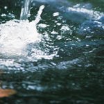 純手打うどん よしや - 近郊点描