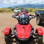 Green World Coffee Farm - 