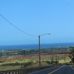 Green World Coffee Farm - 