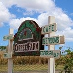 Green World Coffee Farm - 