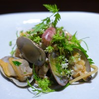 TACUBO - 