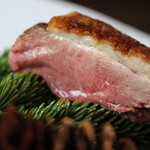 レストラン・モリエール - 鴨アップ