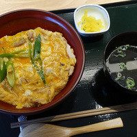 銀座　神籬 - 東京しゃものふわとろ親子丼