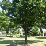 そなエリア東京バーベキューガーデン - 