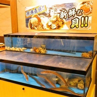 【生け簀設置店舗】新鮮な活魚をご提供いたします！