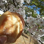 Makadii - 桜の下の田舎パン２