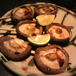 きんぼし - しいたけ