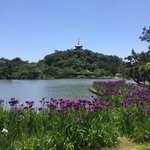 呈茶処　望塔亭 - 大池から見上げる三重塔