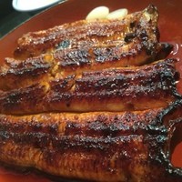 吉寅 - 