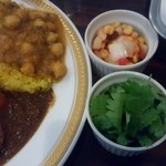 カレーの店 マボロシ - 今日はちょいのせ豆カレー(１００円)もトッピングしてみました。パクチーは５０円、右奥に見える福神漬代わりの「サラダ」は料金内。