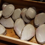 エニェ - 白貝を見せていただきました(^_^)