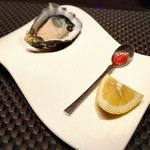 KAZAN - キャッツアイオイスター