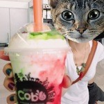 Cobo - 猫面はさておき、タピオカ専門店でタピオカなしを頼んでます^^;