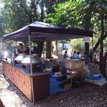 spice6 - 