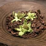 フロリレージュ - ２０１６年２月蕗の薹