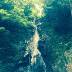 Tokubei Chaya - 2016.06.04
      白水の滝