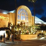 The Cheesecake Factory - 