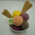 カンパネッラ - Ｔｏｎｏ盛（ミニサイズ１２個）