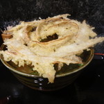 大地のうどん - ごぼう天