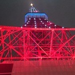 TOKYO TOWER HIGHBALL GARDEN ROOFTOP ジンギスカン - 