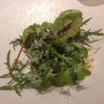 La Brianza - グリーンサラダ