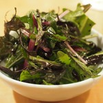 蘭奢待 - 千葉八街のエコファームアサノからの新鮮ルッコラのサラダ