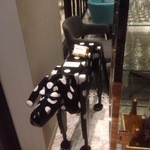 La Brianza - 入り口にいる番犬